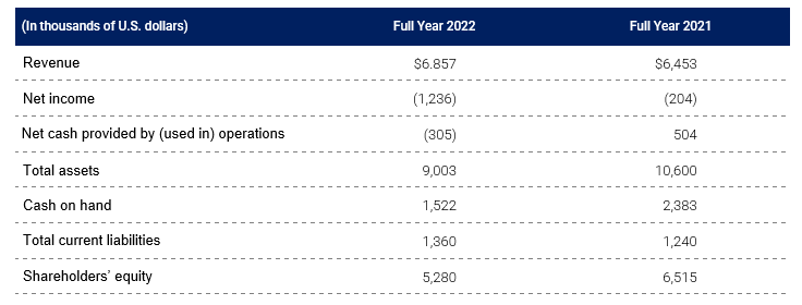 Full Year 2022 Financial table